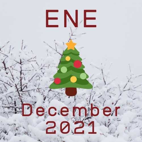 ENE通讯12月2021年12月